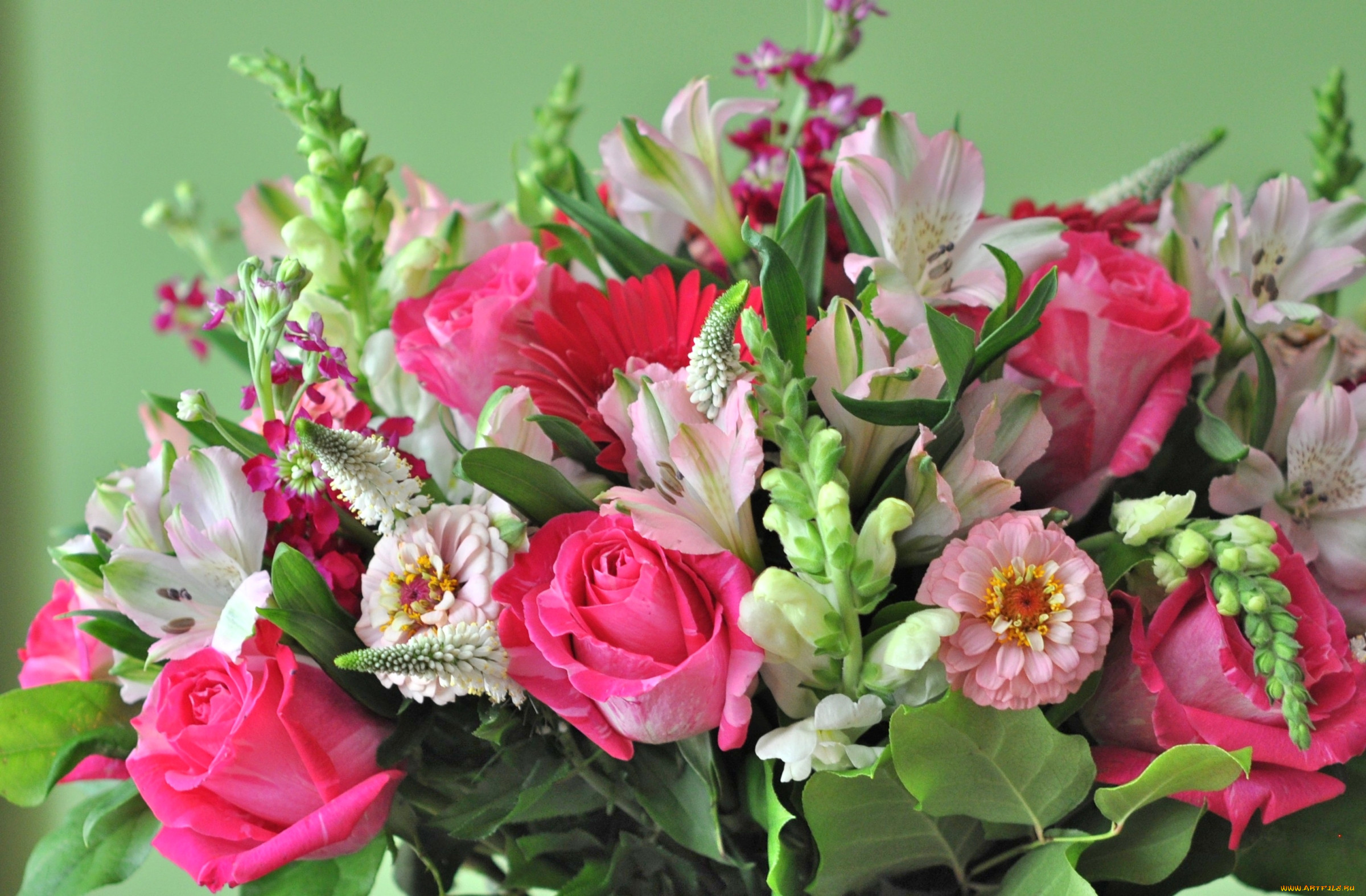 Cvety. Остеросперос цветы. Красивый букет. Красивейшие букеты. Шикарный букет цветов.